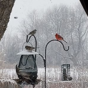 Meet your Posher, Judy